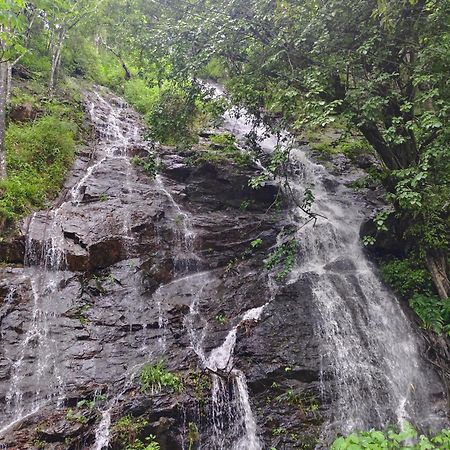 Coorg Divine Spark Home Stay Suntikoppa Exterior foto